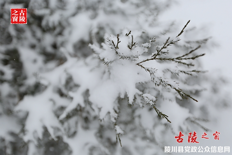 069A8070_副本.jpg