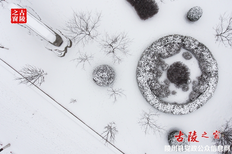 DJI_0002_副本.jpg