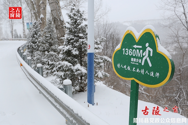 069A8068_副本.jpg