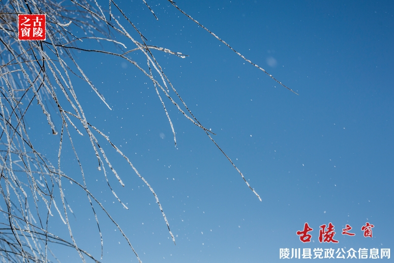 069A8110_副本.jpg