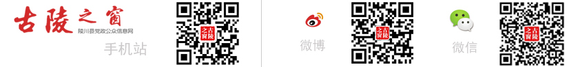 文章二维码