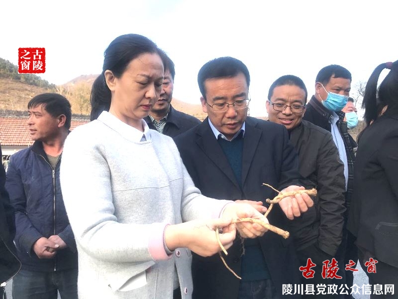 微信图片_20201104153321.jpg